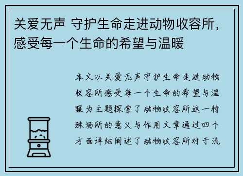 关爱无声 守护生命走进动物收容所，感受每一个生命的希望与温暖